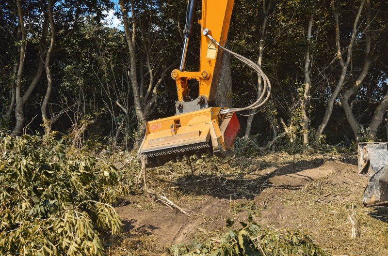 Underbrush Clearing in Marietta, GA