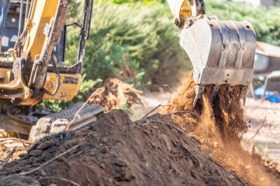 Improves soil quality