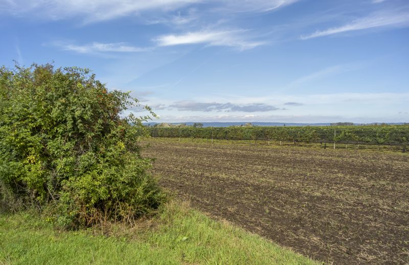 Acreage Clearing in Atlanta, GA
