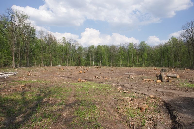 Acreage Clearing in Houston, TX