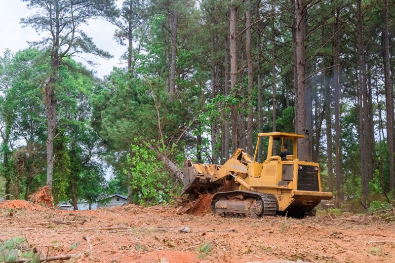Lake Lot Clearing in Houston, TX