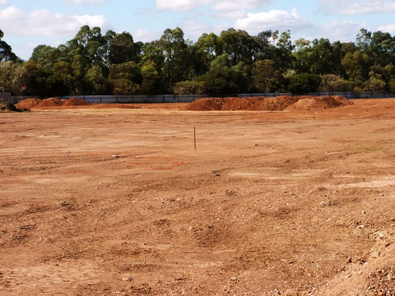 Site Clearing Service in Atlanta, GA