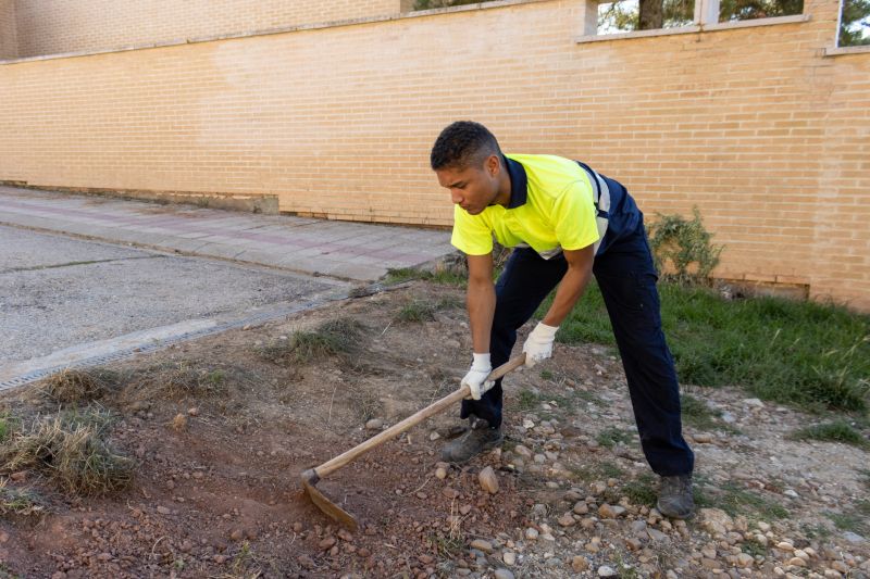 Topsoil Removal Costs — Cost of Topsoil Removal