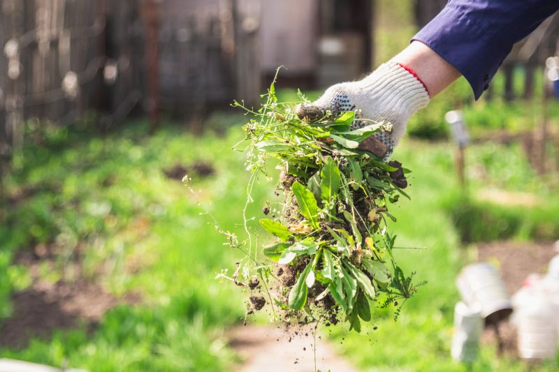 Topsoil Removal Costs — Cost of Topsoil Removal